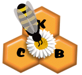 Kemnay Community Bee Group